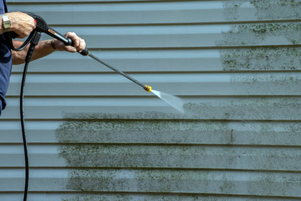 Best Rust Removal  in Homewood, AL
